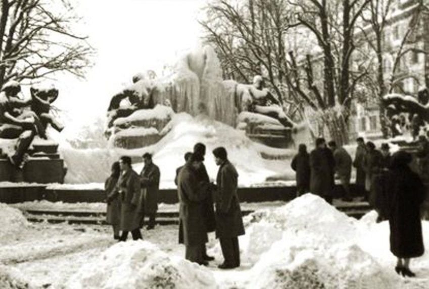 81 / 196